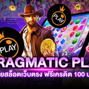 สล็อต PP ทดลองเล่นฟรี ค่ายยุโรป